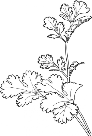 Пьеро Арлекин петрушка