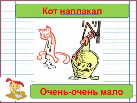 Кот наплакал значение фразеологизма