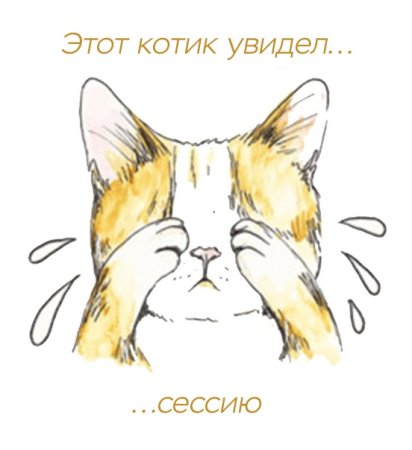 Кот наплакал фразеологизм