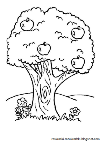 Яблоня раскраска для детей