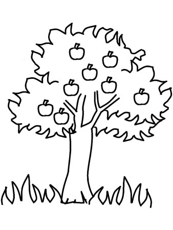 Яблоня раскраска для детей