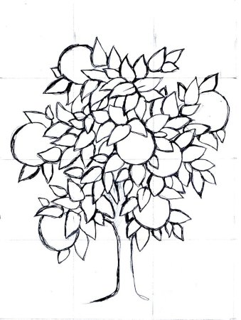 Дерево с яблоками раскраска