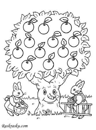 Дерево яблоня раскраска