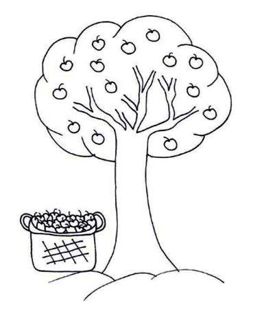 Фруктовые деревья раскраска для детей