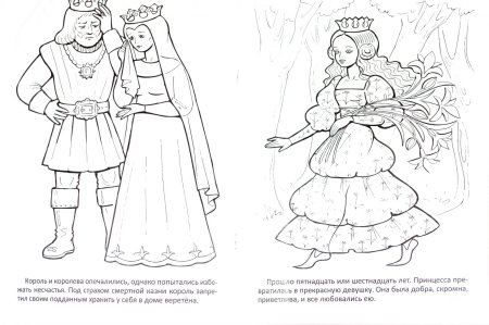 Сказки Шарля Перро Ослиная шкура