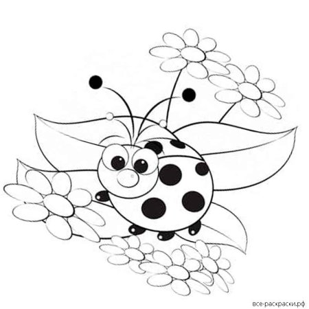 Божья коровка раскраска