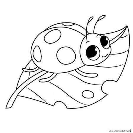 Божья коровка на ромашке