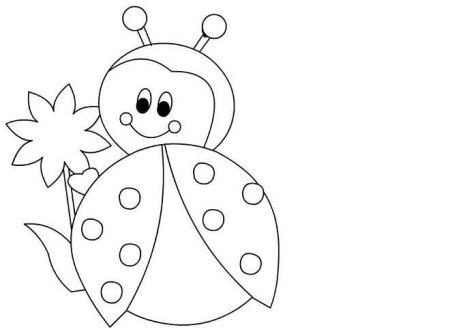 Раскраска Божья коровка на цветке