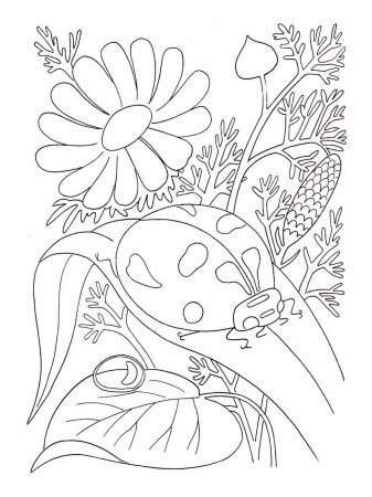 Раскраска Божья коровка на ромашке для детей