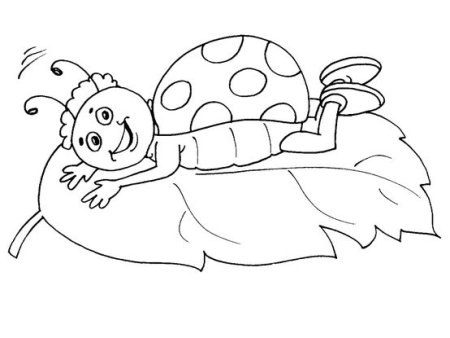 Цветы раскраска для детей без стебля