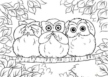 Сова на ветке раскраска