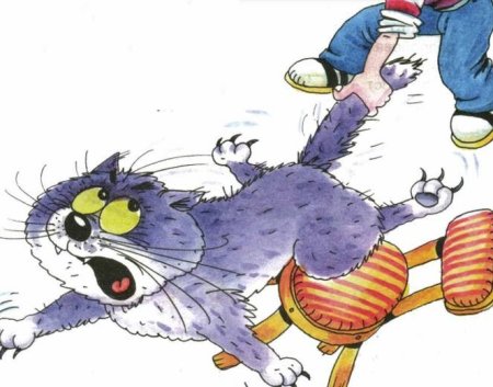 Б Заходер вредный кот