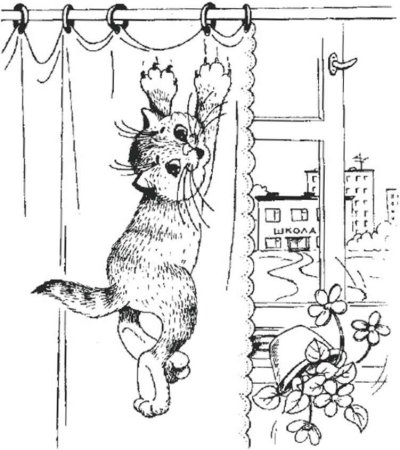 Раскраска котик в окошке