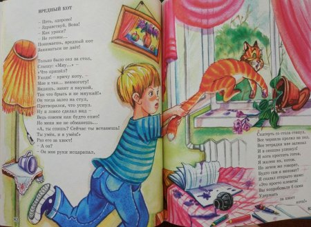 Борис Борис Заходер вредный кот