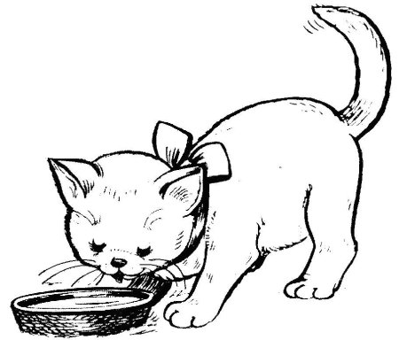 Котенок. Раскраска