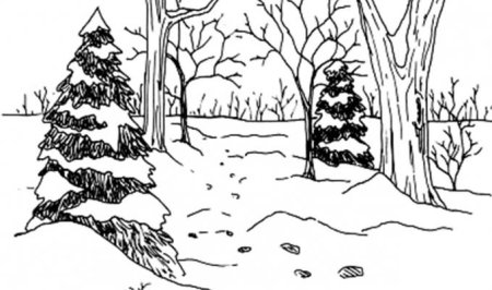 Раскраска природа