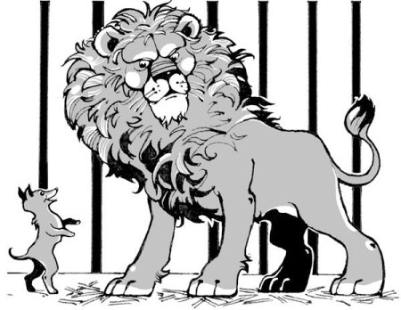 Раскраска к рассказу Лев и собачка Льва Толстого