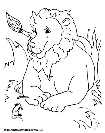 Лев толстой "Лев и собачка"