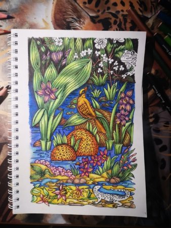 Раскраска дивный сад