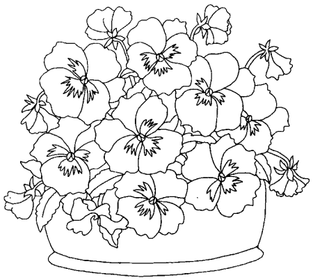 Узамбарская фиалка раскраска