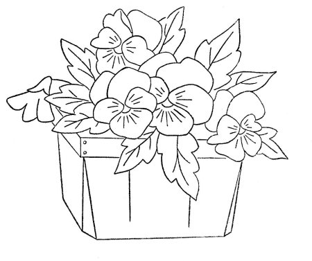 Фиалка раскраска для детей