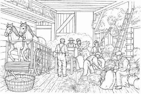 На ферме. Раскраска