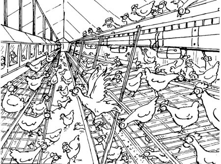 Раскраска животные на ферме