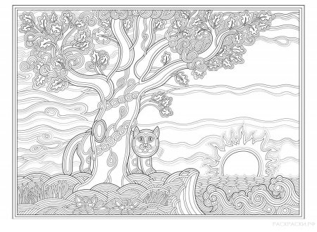 Виктория Райхер Хатуль Мадан