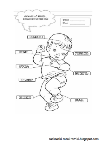 Части тела раскраска для детей