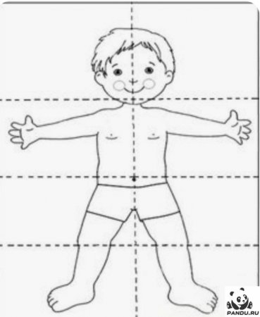 Организм человека раскраска