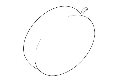 Раскраска фрукты абрикос
