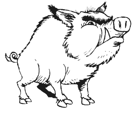 Кабан дикий сбоку рисунок