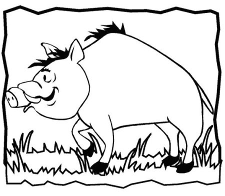 Кабан контур