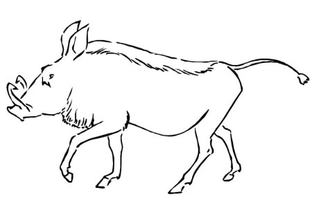 Кабан раскраска для детей