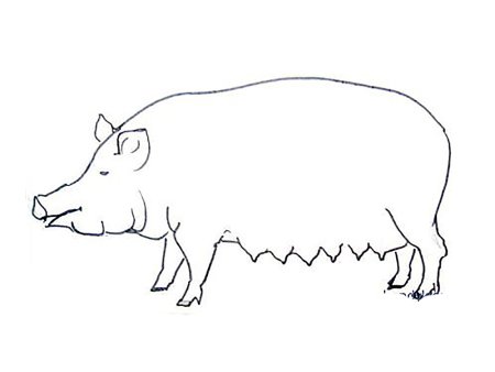 Нарисовать кабана