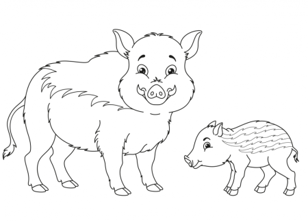 Кабан гравюра