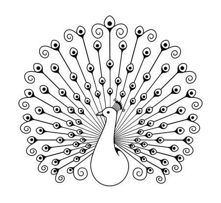 Павлин рисунок карандашом