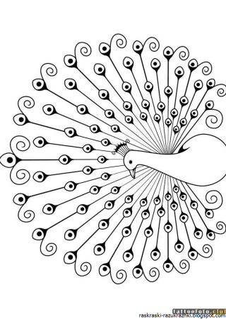 Павлин раскраска для детей