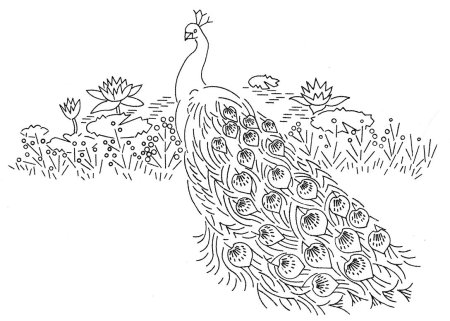 Раскраски Павлин для детей 6-7 лет