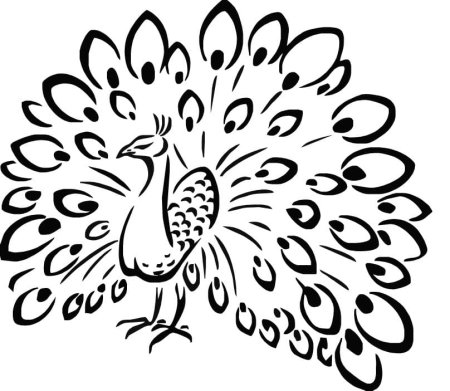Трафарет павлина для аппликации