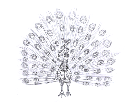 Трафарет павлина для рисования