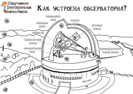 Раскраски Чевостика