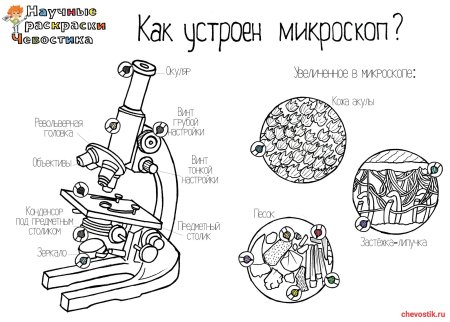 Научные раскраски