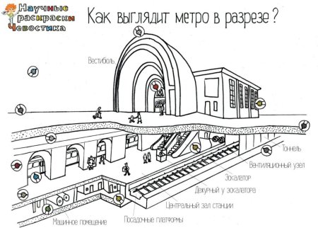 Чевостик раскраски