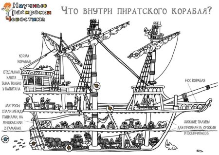 Чевостик изучает землю раскраска