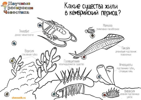 Научные раскраски