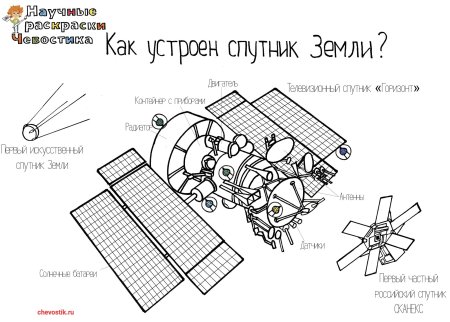 Раскраски Чевостика