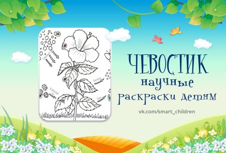 Научные раскраски Чевостика
