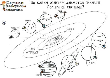 Чевостик научные раскраски
