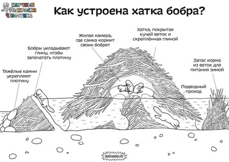 География вырезай раскрашивай